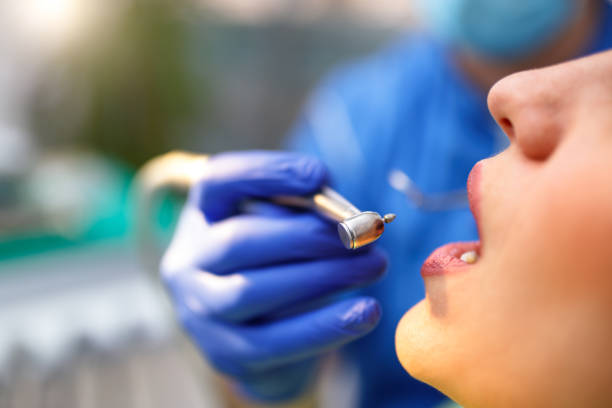 Professional  Holistic Dental Services in Tri Lakes, IN